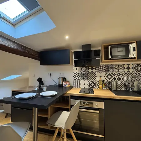 Apartamento Cocon Mansarde - Velux Et Clim - Hyper Centre Toulouse