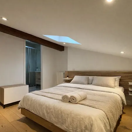 Cocon Mansardé - Velux Et Clim - Hyper Centre