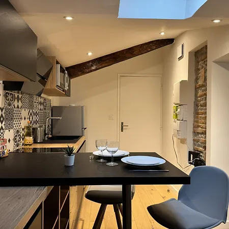 Cocon Mansarde - Velux Et Clim - Hyper Centre Toulouse
