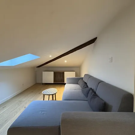 Daire Cocon Mansarde - Velux Et Clim - Hyper Centre