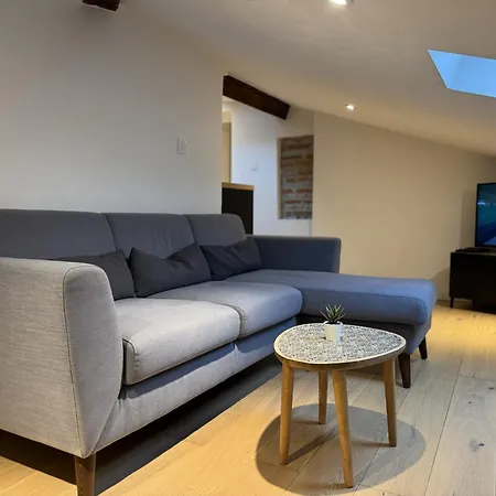 Lägenhet Cocon Mansarde - Velux Et Clim - Hyper Centre *