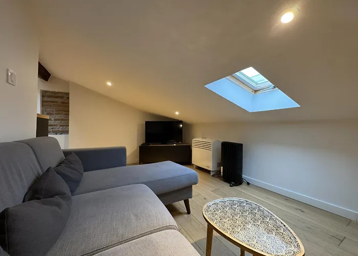 Cocon Mansarde - Velux Et Clim - Hyper Centre Apartment *