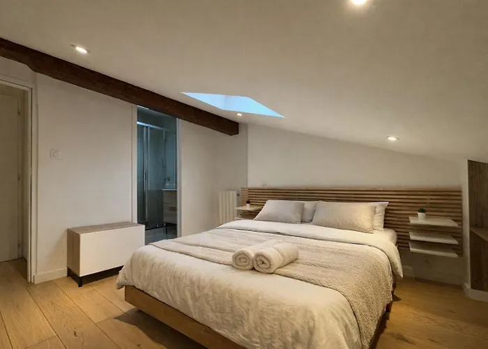 Cocon Mansarde - Velux Et Clim - Hyper Centre