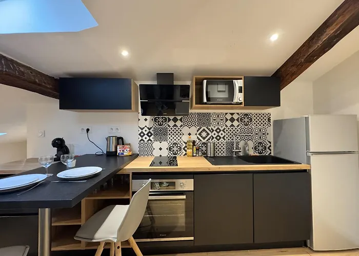 Apartment Cocon Mansarde - Velux Et Clim - Hyper Centre *