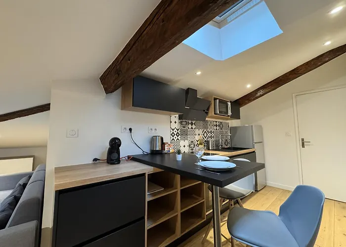 Cocon Mansarde - Velux Et Clim - Hyper Centre Apartment Toulouse