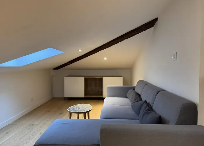 Apartment Cocon Mansarde - Velux Et Clim - Hyper Centre Toulouse