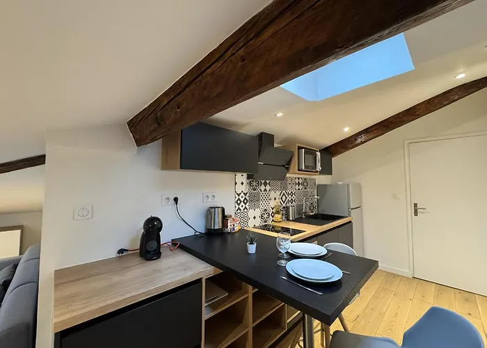 Lägenhet Cocon Mansarde - Velux Et Clim - Hyper Centre