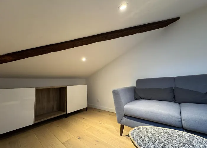 Cocon Mansarde - Velux Et Clim - Hyper Centre *