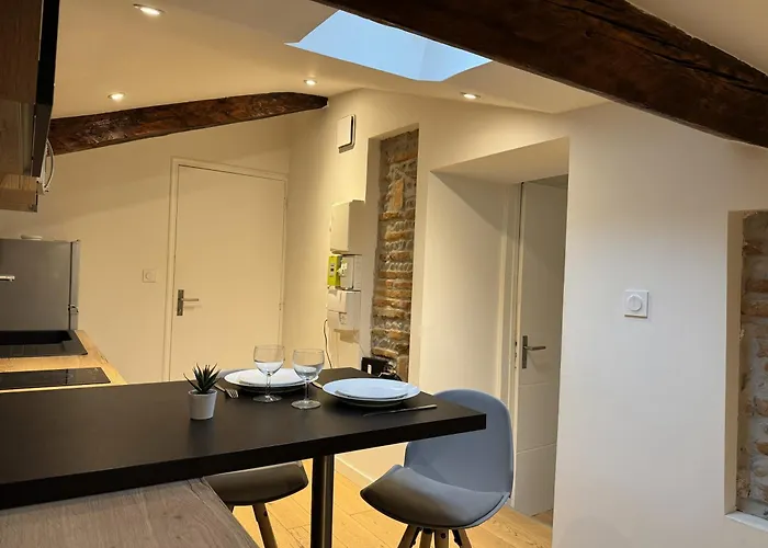 Cocon Mansarde - Velux Et Clim - Hyper Centre Apartment