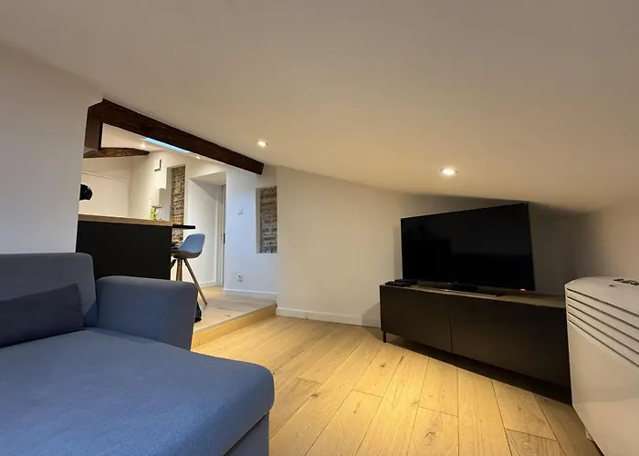 Cocon Mansarde - Velux Et Clim - Hyper Centre *