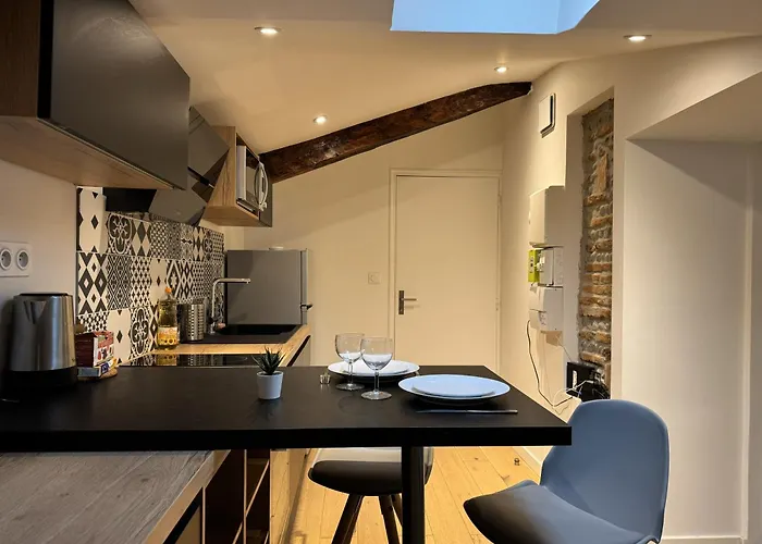 Cocon Mansarde - Velux Et Clim - Hyper Centre Toulouse