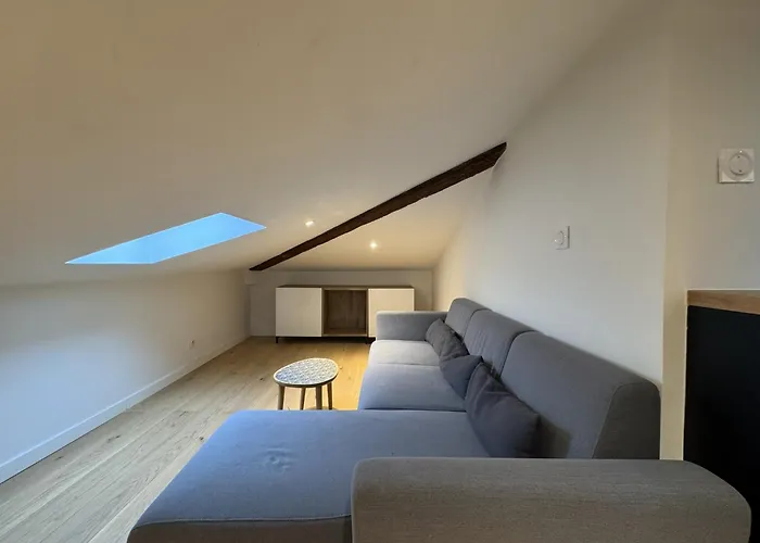 Lägenhet Cocon Mansarde - Velux Et Clim - Hyper Centre