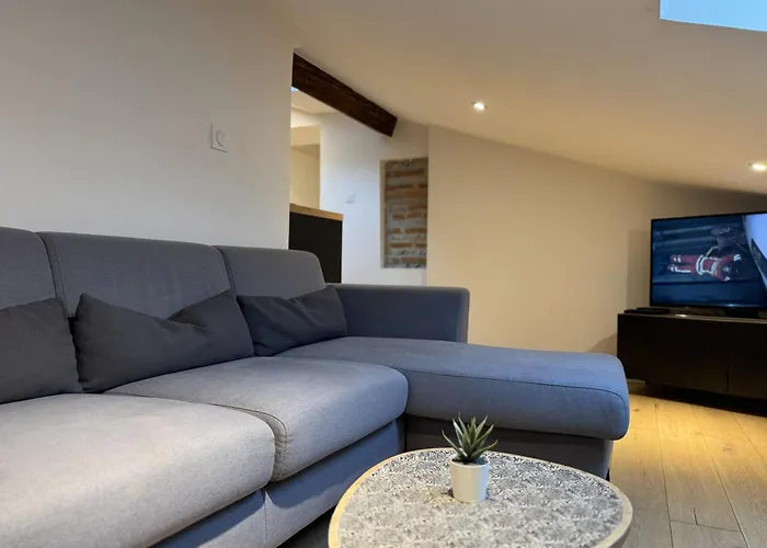 Cocon Mansarde - Velux Et Clim - Hyper Centre تولوز