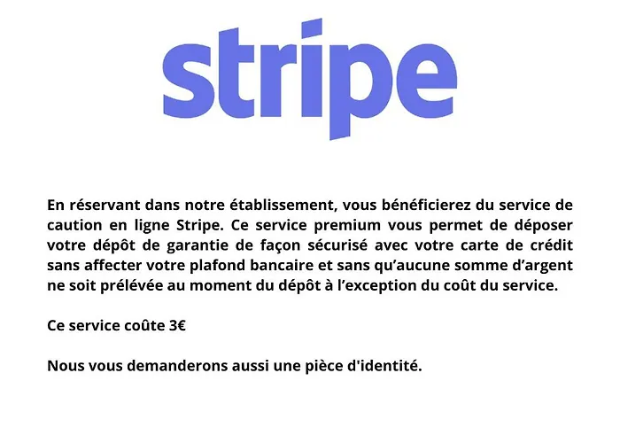Cocon Mansarde - Velux Et Clim - Hyper Centre *
