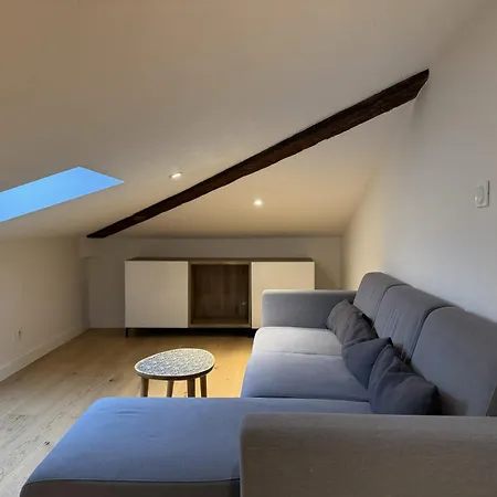 Apartmán Cocon Mansarde - Velux Et Clim - Hyper Centre Toulouse