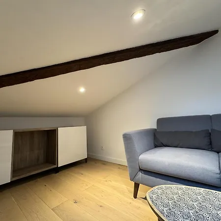Cocon Mansarde - Velux Et Clim - Hyper Centre *