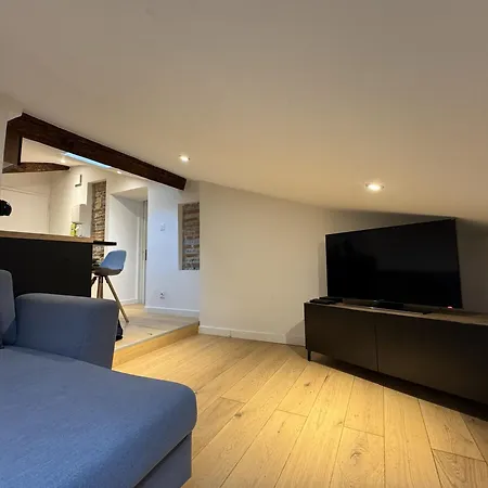 Cocon Mansarde - Velux Et Clim - Hyper Centre *